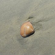 Baja2011 065 : Baja2011